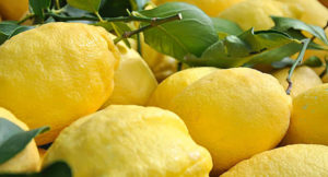 Limoni Costiera Amalfitana